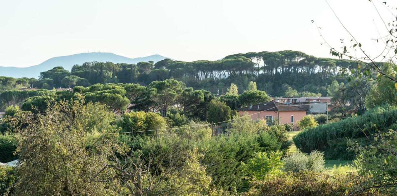 Fuga In Toscana Borgo a Buggiano Kültér fotó